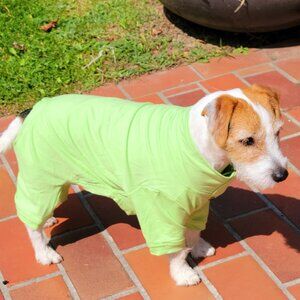 Protection from the sun, allergies, cooling suit, surgery recoup or just a cover